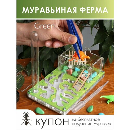 Муравьиная ферма Green 18х10х6 см Муравьи в подарок!