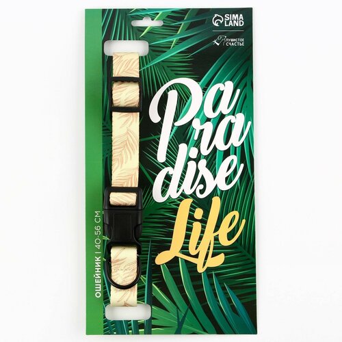 Ошейник Paradise life, застёжка - фастекс, 2.5 см, 40-55 см ошейник paradise life застёжка фастекс 2 5 см 40 55 см