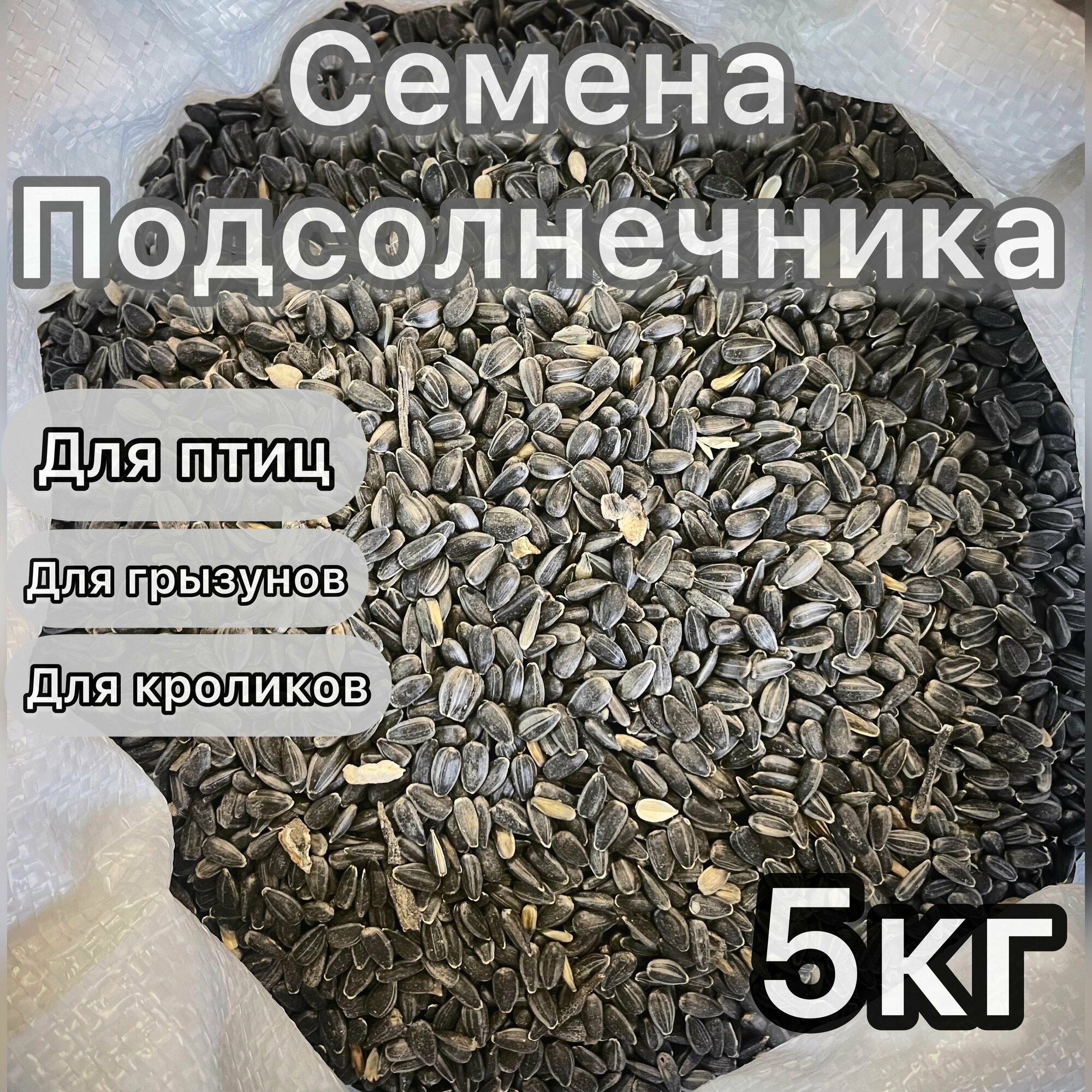 Семечки подсолнечника 5 кг. Сырые, неочищенные. Корм для парковых, лесных, домашних птиц и грызунов.