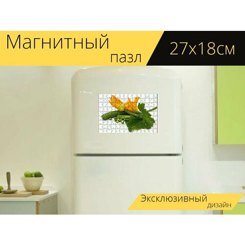 Магнитный пазл Цуккини, кабачок, давить на холодильник 27 x 18 см. магнитный пазл овощи цуккини осень на холодильник 27 x 18 см