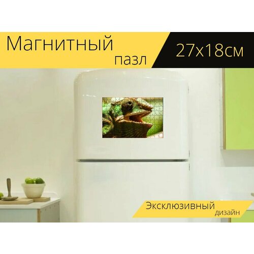 Магнитный пазл Животное, хамелеон, рептилия на холодильник 27 x 18 см. животное хамелеон