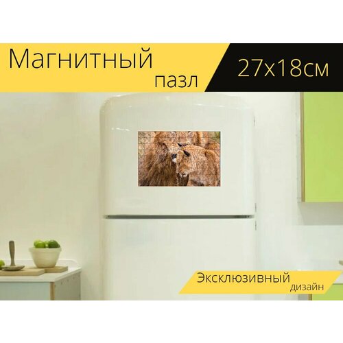 Магнитный пазл Лев, детеныш, кошачий на холодильник 27 x 18 см.