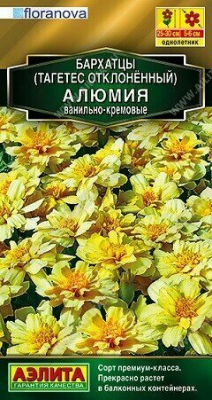 Бархатцы Алюмия ванильно-кремовые 10шт Аэлита