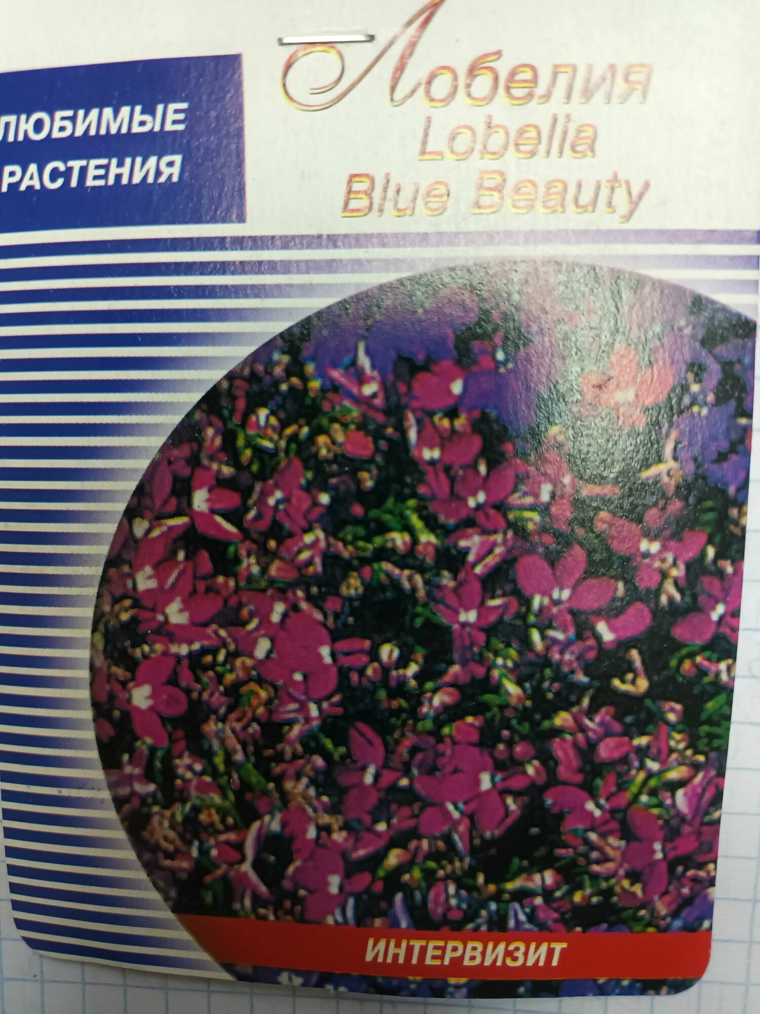 Лобелия Blue Beauty 100 семян