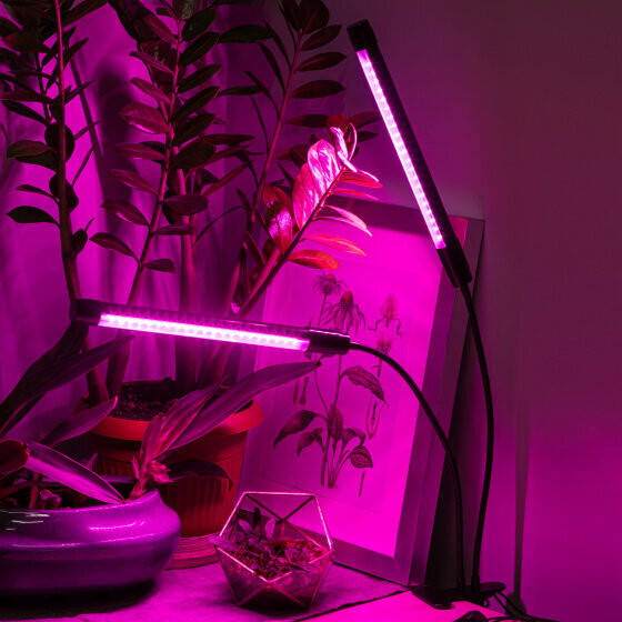 Светодиодный светильник для растений ЭРА Fito-20W-Аled-N Б0053059 - фотография № 3