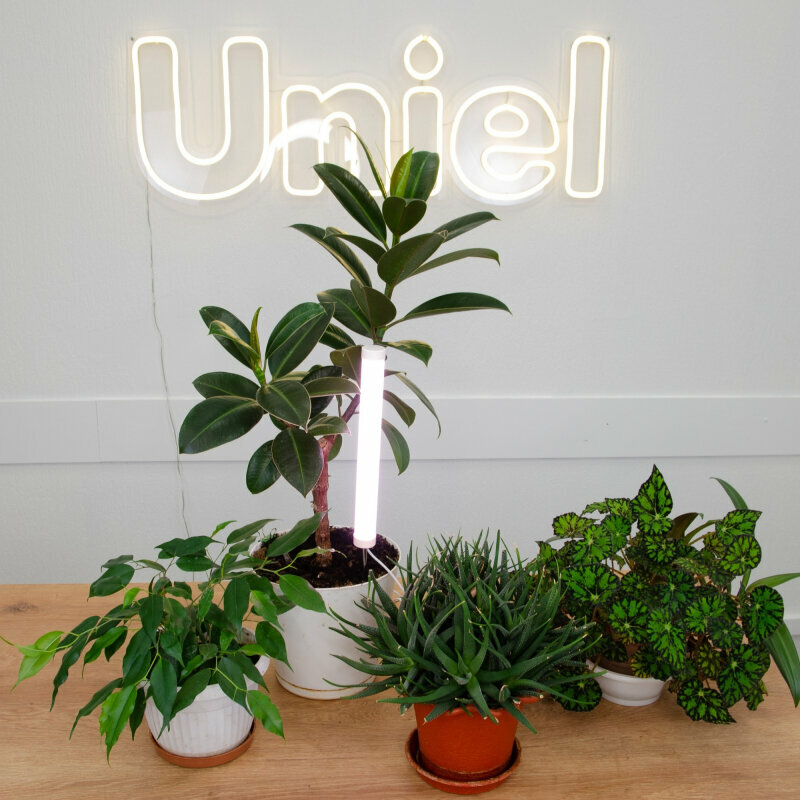 Светильник для растений Uniel ULT-P39-6W/SPLE IP40 White UL-00007147