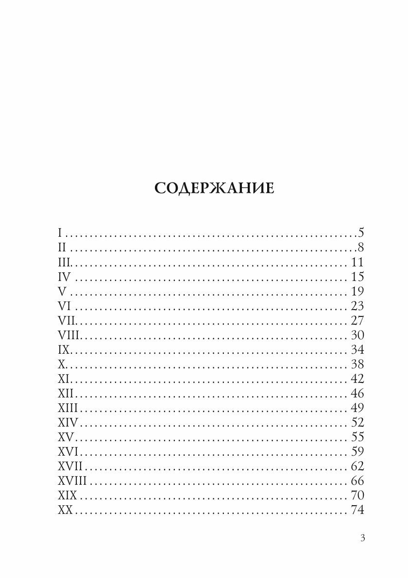 Книга Вязниковский самодур (Михаил Волконский) - фото №5