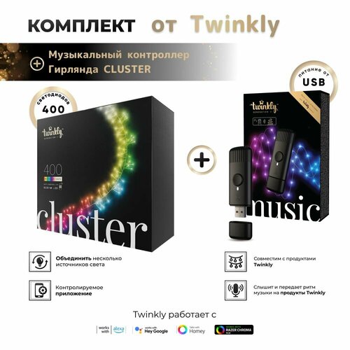 Гирлянда LED Twinkly Cluster - 400 шт. (6 м) RGB + W + BT + Wi-Fi (TWC400SPP-BEU) + Twinkly Music Dongle (TMD01USB) микс, разноцветный