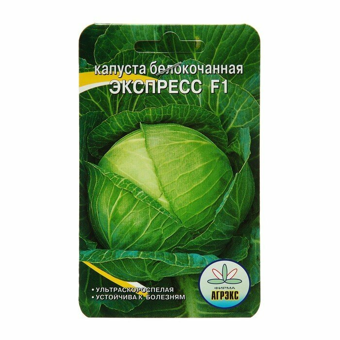 Семена Капуста б/к 