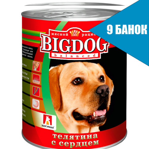 Зоогурман BIG DOG для собак Телятина с сердцем, консервы 850г (9 банок)