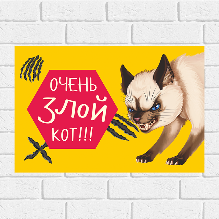 Табличка "Очень злой кот, юмористическая", 30х20 см, ПВХ