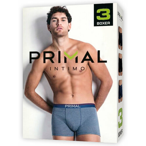 фото Трусы primal, размер 48, мультиколор