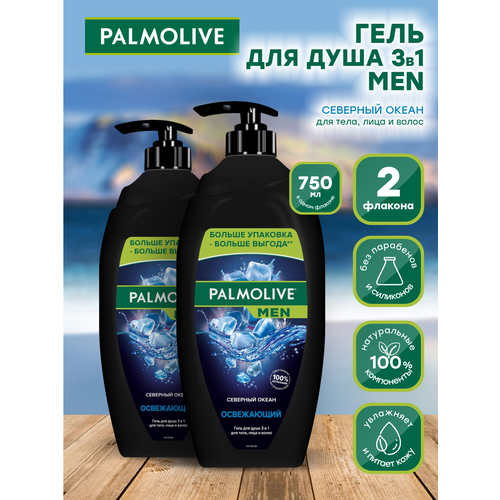 Мужской гель для душа Palmolive MEN Ледяная Арктика 3в1 Северный Океан 750 мл. х 2 шт.