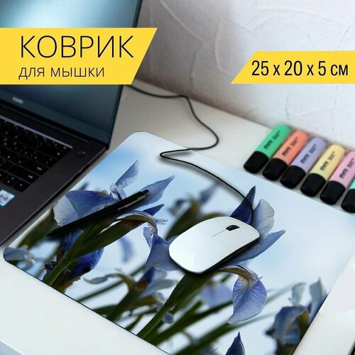 Коврик для мыши с принтом Природа, ирис, цветы 25x20см. коврик для мыши с принтом весенние цветы нарцисс ирис 25x20см