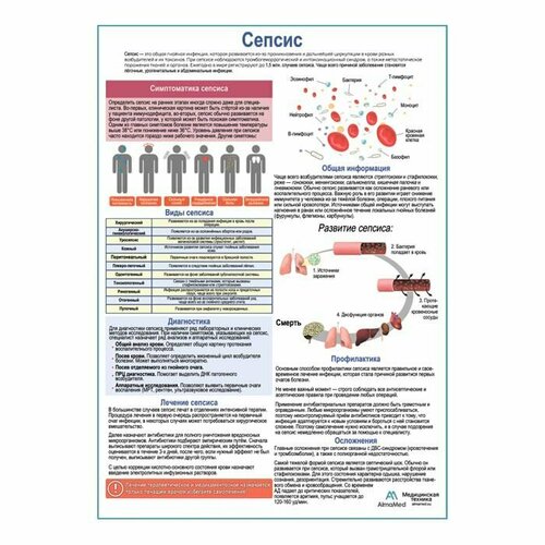 Сепсис медицинский плакат А1+ глянцевый холст