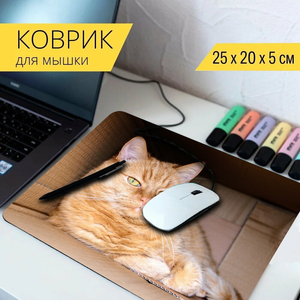 Коврик для мыши с принтом "Кот рыжий кот котенок" 25x20см.