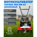 Мотокультиватор бензиновый Тарпан ТМЗ-МК-03 с двигателем Loncin 173cc, мощность 5 л. с, объем 173 куб. см - изображение