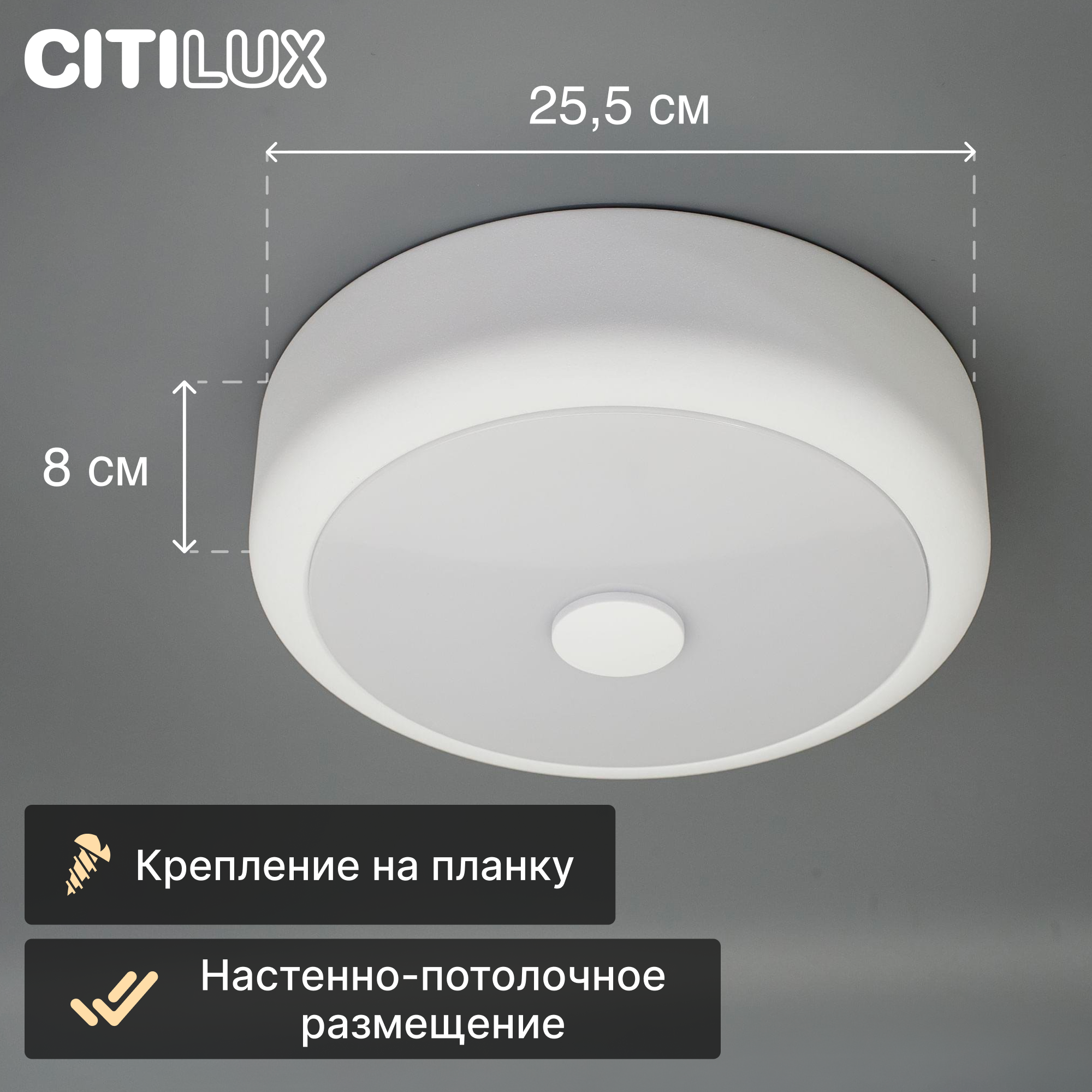 Настенно-потолочный светильник Citilux Фостер-1 CL706110