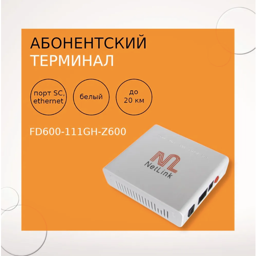 Абонентский терминал FD600-111GH-Z600 203300₽