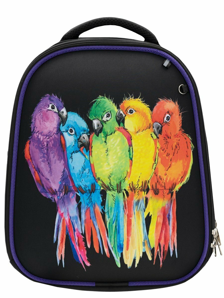 Ранец BagRio BR024/23 - фото №1