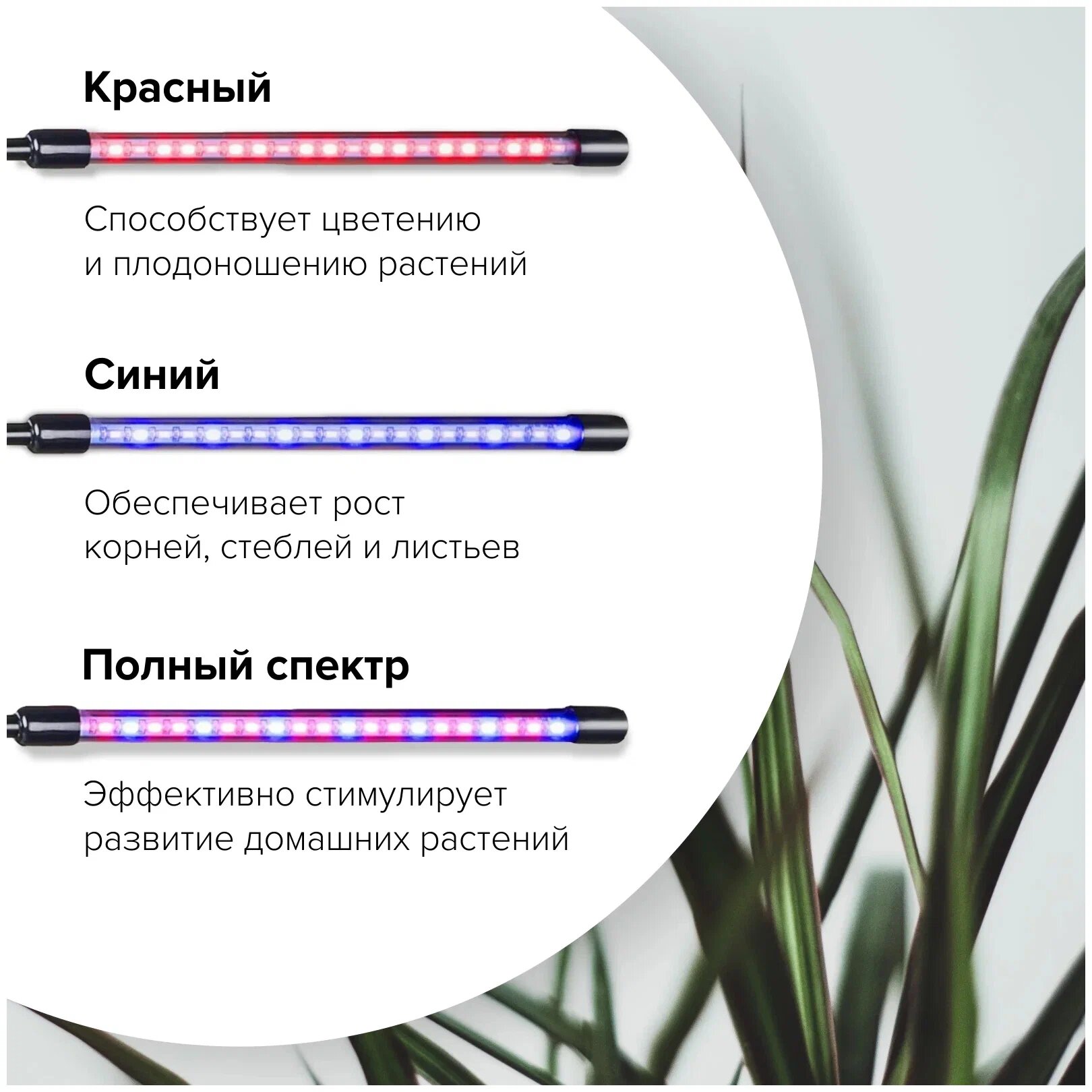 Фитолампа для растений 3 режима свечения 2 светодиодных светильника для растений, фитосветильник на прищепке, фито лампа для рассады - фотография № 5