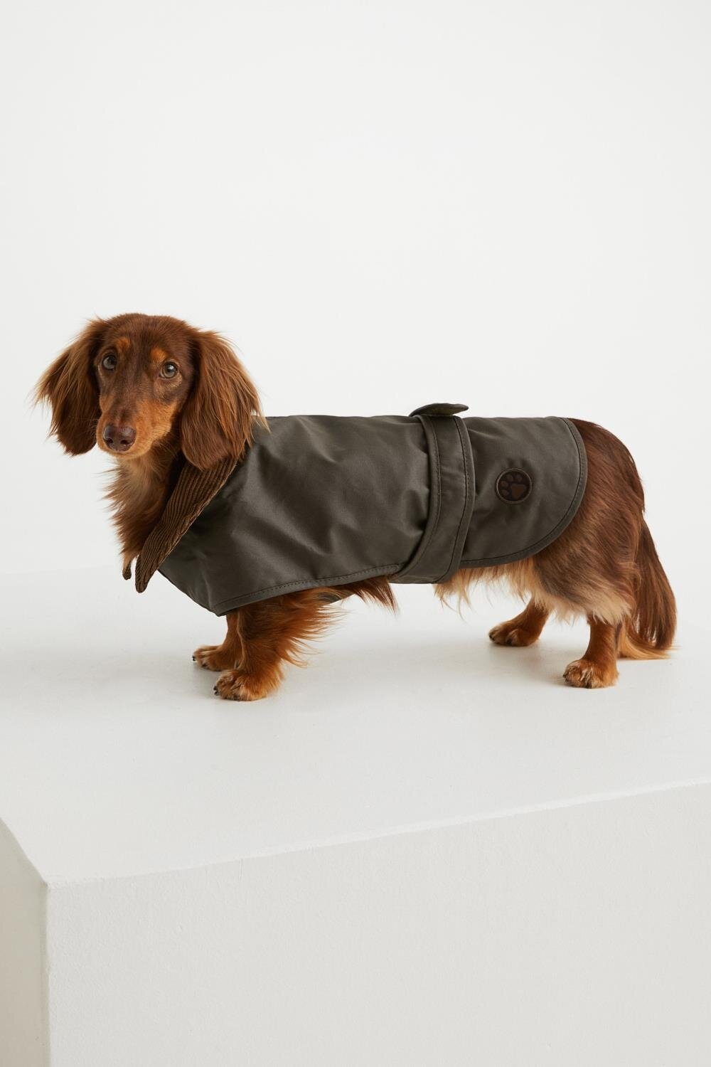 Одежда для собак H&M Унисекс, размер Зеленый, цвет L-50 - фотография № 1