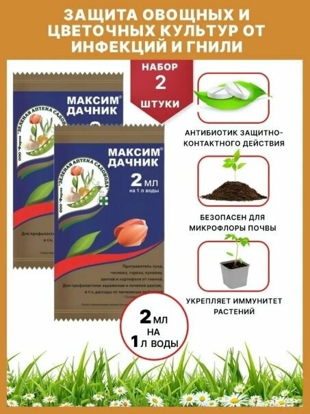 Защита растений от гнилей максим дачник, 2 шт по 2 мл / Зеленая Аптека Садовода