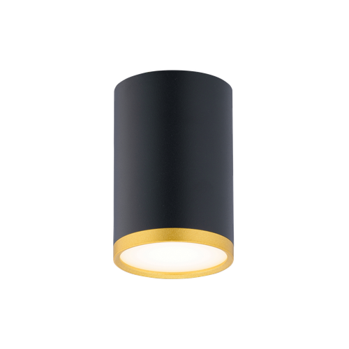 Светильник накладной 0050 SGD+SBK GU10