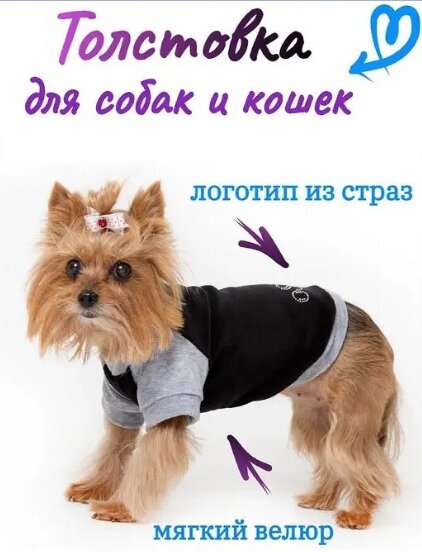 Толстовка из велюра OSSO FASHION для собак со стразами черная (Размер 28)