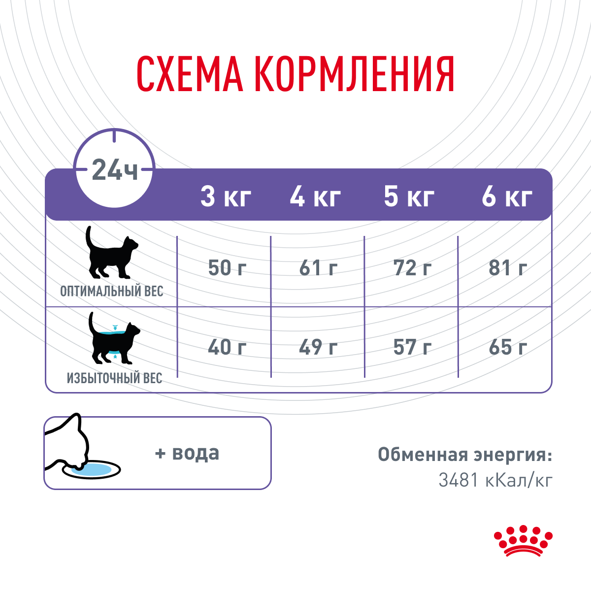 Сухой корм для кошек Royal Canin Appetite Control Care 2 кг - фото №8