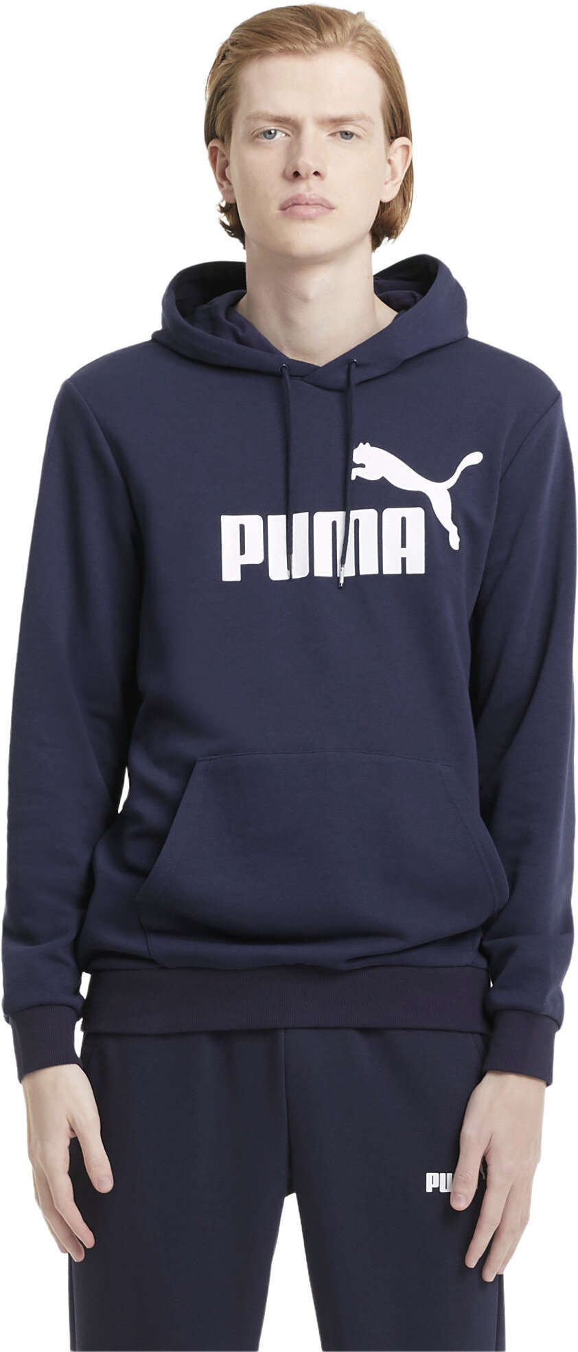 Толстовка спортивная PUMA Essentials Big Logo Men’s Hoodie