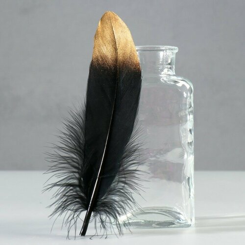 Набор перьев гуся 15-20 см 10 шт чёрный с золотистым кончиком 656₽