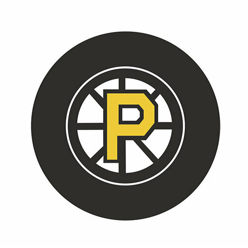 Шайба Rubena AHL Bruins Providence шайба rubena boston bruins