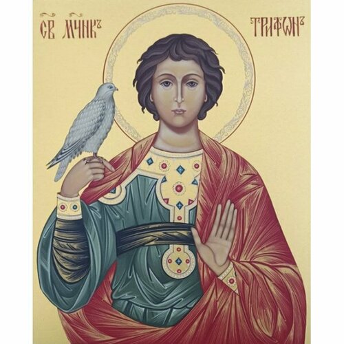 Икона Трифон мученик писаная, арт ИР-1443 икона вонифатий мученик писаная арт ир 0075