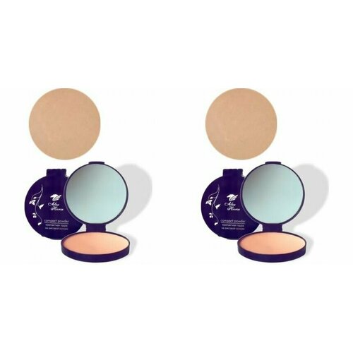 Alex Horse Пудра компактная на рисовой основе № 04 с зеркалом, 2 шт