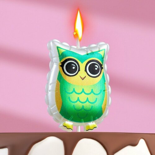 Свеча в торт на шпажке Сова 95х4 см 242₽