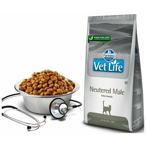 Farmina VET LIFE NEUTERED MALE- для кастрированных котов 0,4 кг, 2 уп