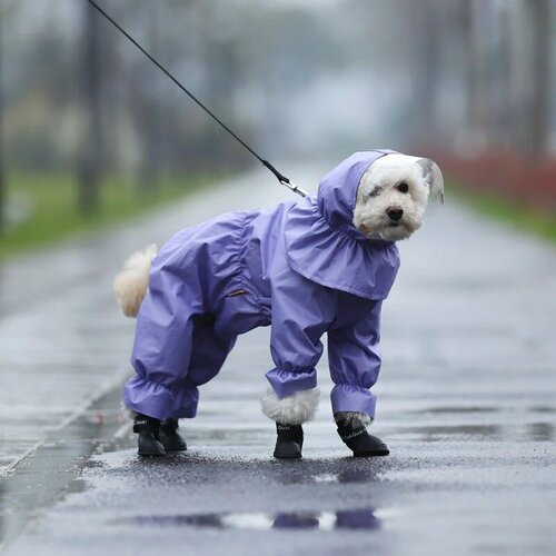 Одежда для собак. Дождевик для собак 