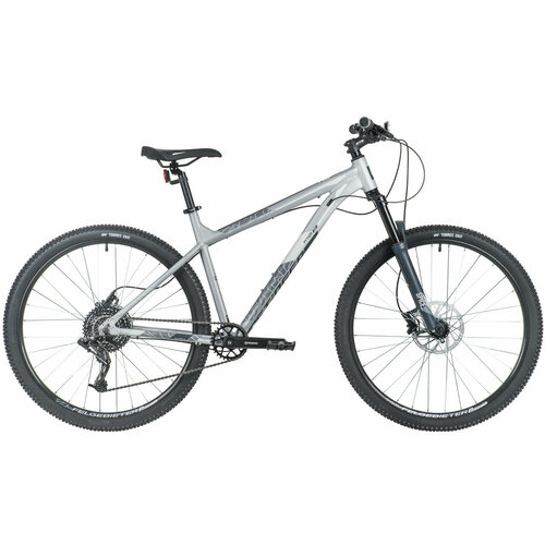 Stinger Python Evo 29 2021 требует финальной сборки Цвет серый Размер 22 4360000₽