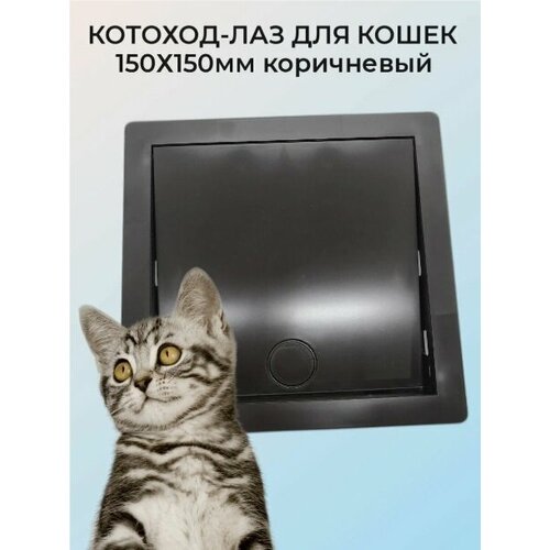 Котоход-лаз для кошки 20х20 см проем 40мм коричневый 1174₽