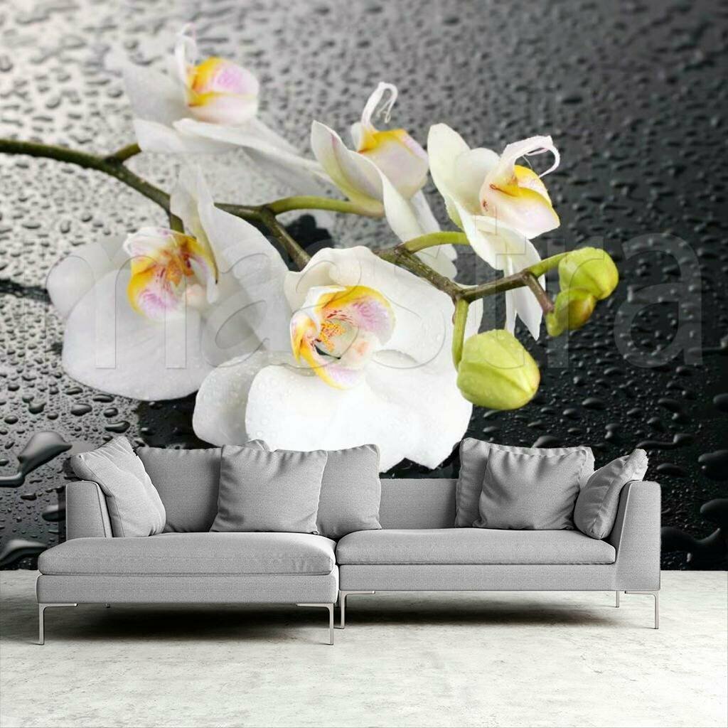 Фотообои Белая орхидея 3д 275x413 (ВхШ), бесшовные, флизелиновые, MasterFresok арт 4-004