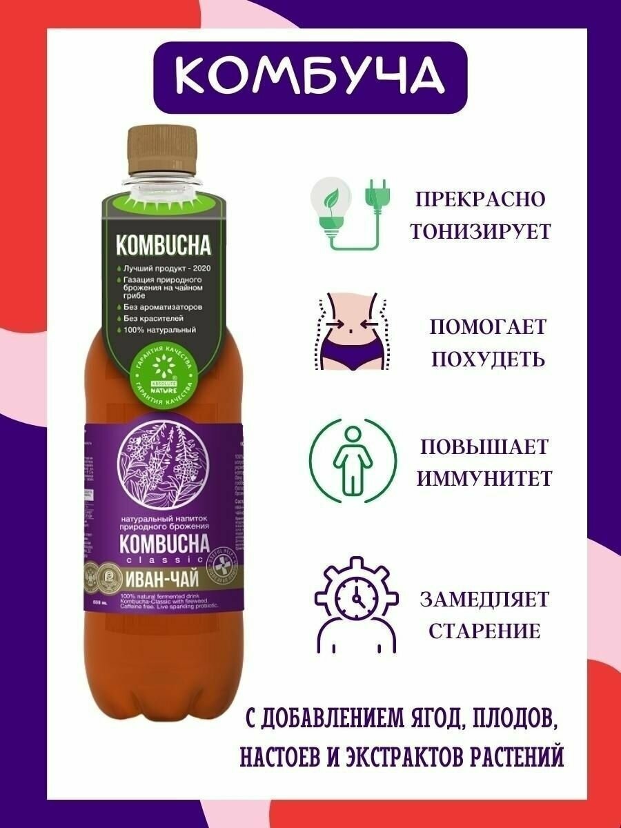 KOMBUCHA Напиток на чайном грибе, 12шт/0.555л - фотография № 2