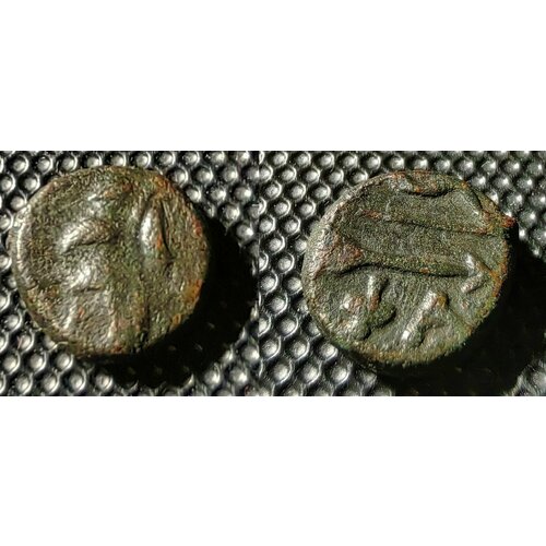 Гоплит Фанагории. Античная монета Боспорского царства.