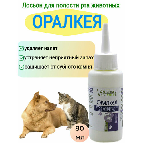 Жидкость для полости рта собак, кошек, грызунов Оралкея, 80 мл. жемчужный отбеливающий порошок для зубов продукция для удаления пятен от зубного налета гигиена полости рта эссенция для чистки зубов зу