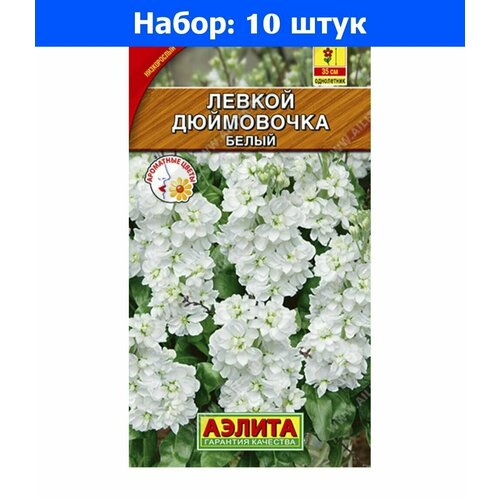 Левкой (маттиола) Дюймовочка Белый 0.1г Одн 35см (Аэлита) - 10 пачек семян