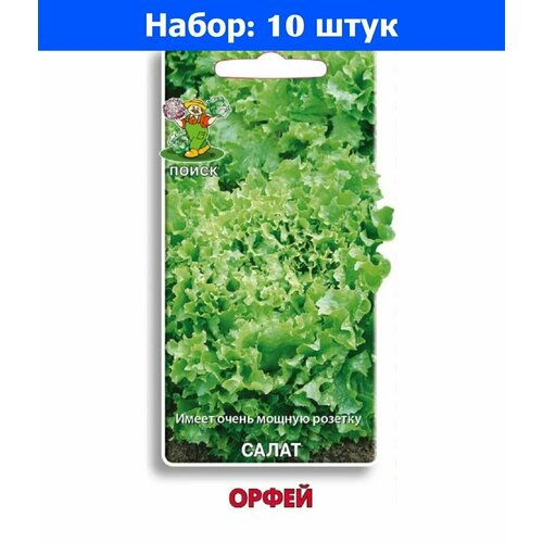 Салат Орфей полукочанный 1г Ср (Поиск) - 10 пачек семян
