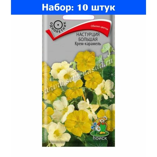 Настурция Крем-карамель большая 1г Одн (Поиск) - 10 пачек семян флокс аллюр друммонда 0 1г одн 200см поиск 10 пачек семян