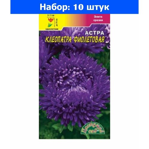 Астра Клеопатра Фиолетовая пионовидная 0.2г Одн 70см (Цвет сад) - 10 пачек семян