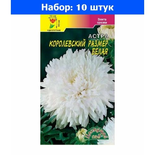 Астра Королевский размер Белая пионовидная 0.1г Одн 90см (Цвет сад) - 10 пачек семян