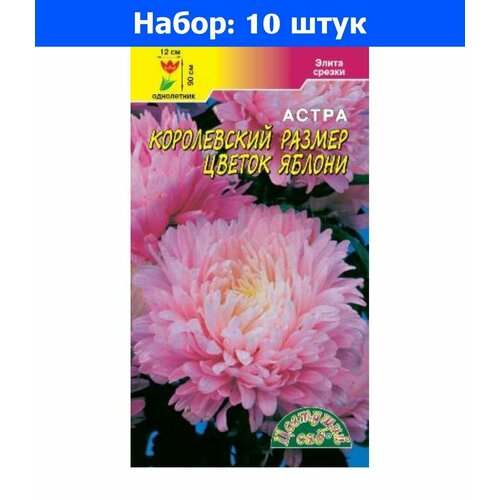 Астра Королевский размер Цветок яблони пионовидная 0.1г Одн 90см (Цвет сад) - 10 пачек семян